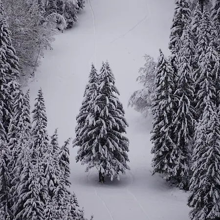 La Fedora - De Charme Vaujany